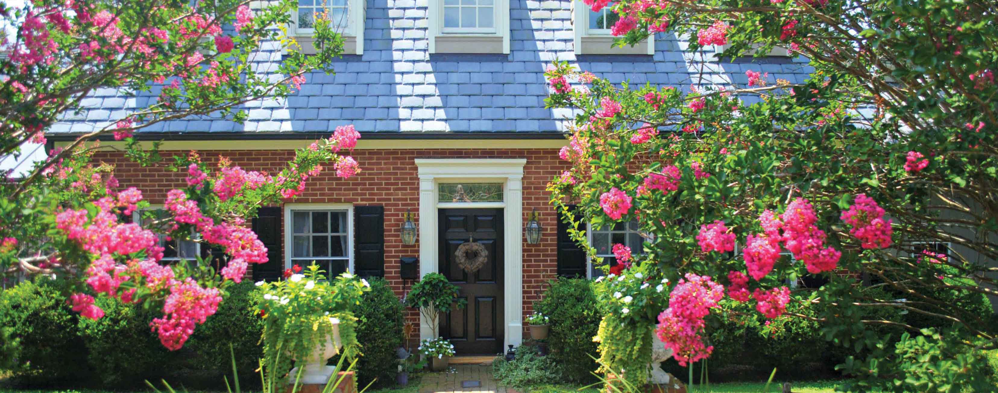 Charming cottage with roses