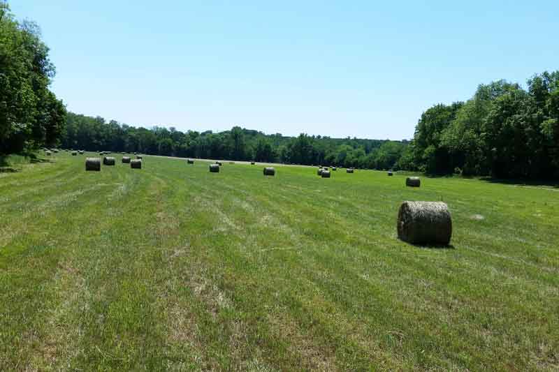 edgewood-farms-land