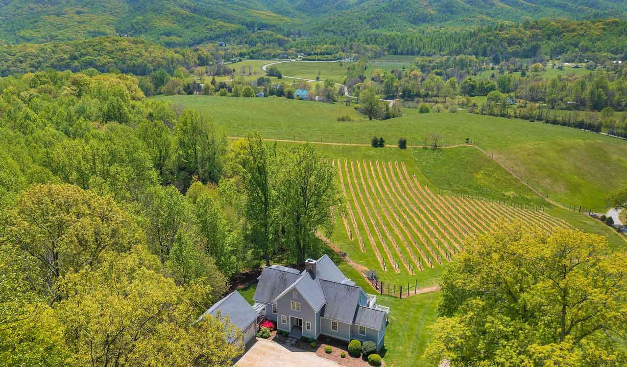 Amazing Grace vineyard estate in Nelson County Virginia with mountain views and rolling vineyards