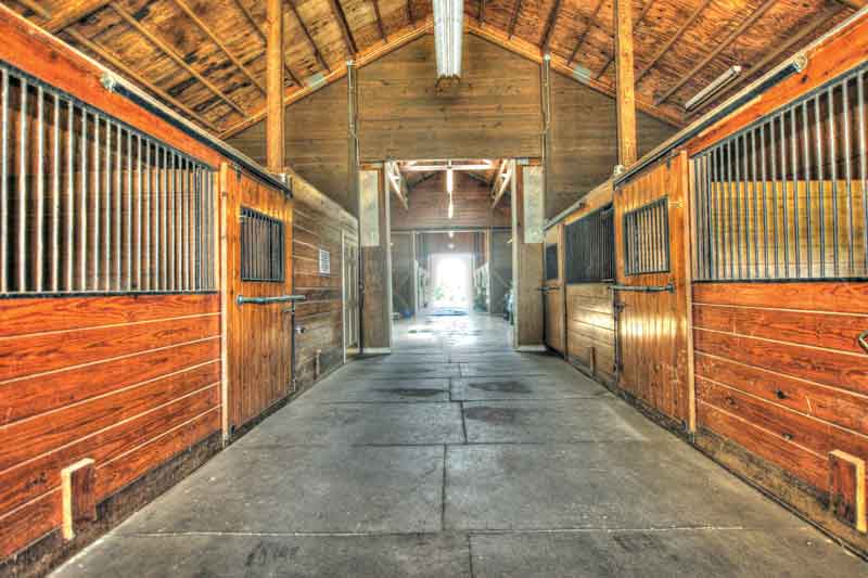 edgewood-farms-equestrian-facilities