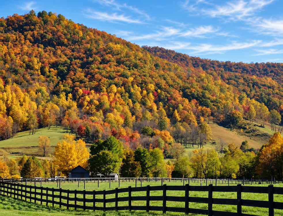 Afton, Virginia horse farm with black board fencing, green pastures, barn, and autumn mountain views in Central Virginia