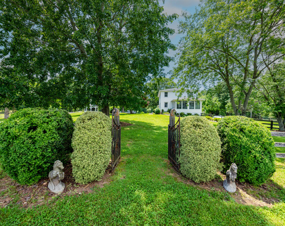 Madison Horse Farm