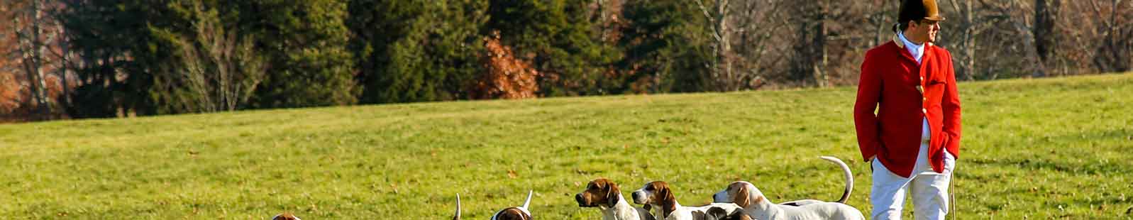 Huntsman in a red coat and white breeches standing in an open Virginia pasture with a pack of foxhounds