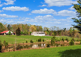 Palmyra Hill Farm