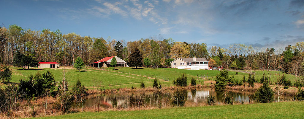 Palmyra Hill Farm