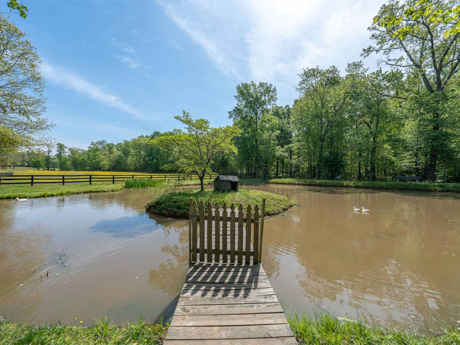 Turkey Hollow Pond